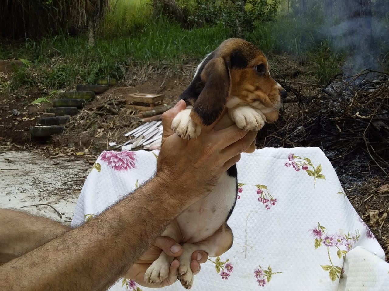 Macho 160120 (7).jpg