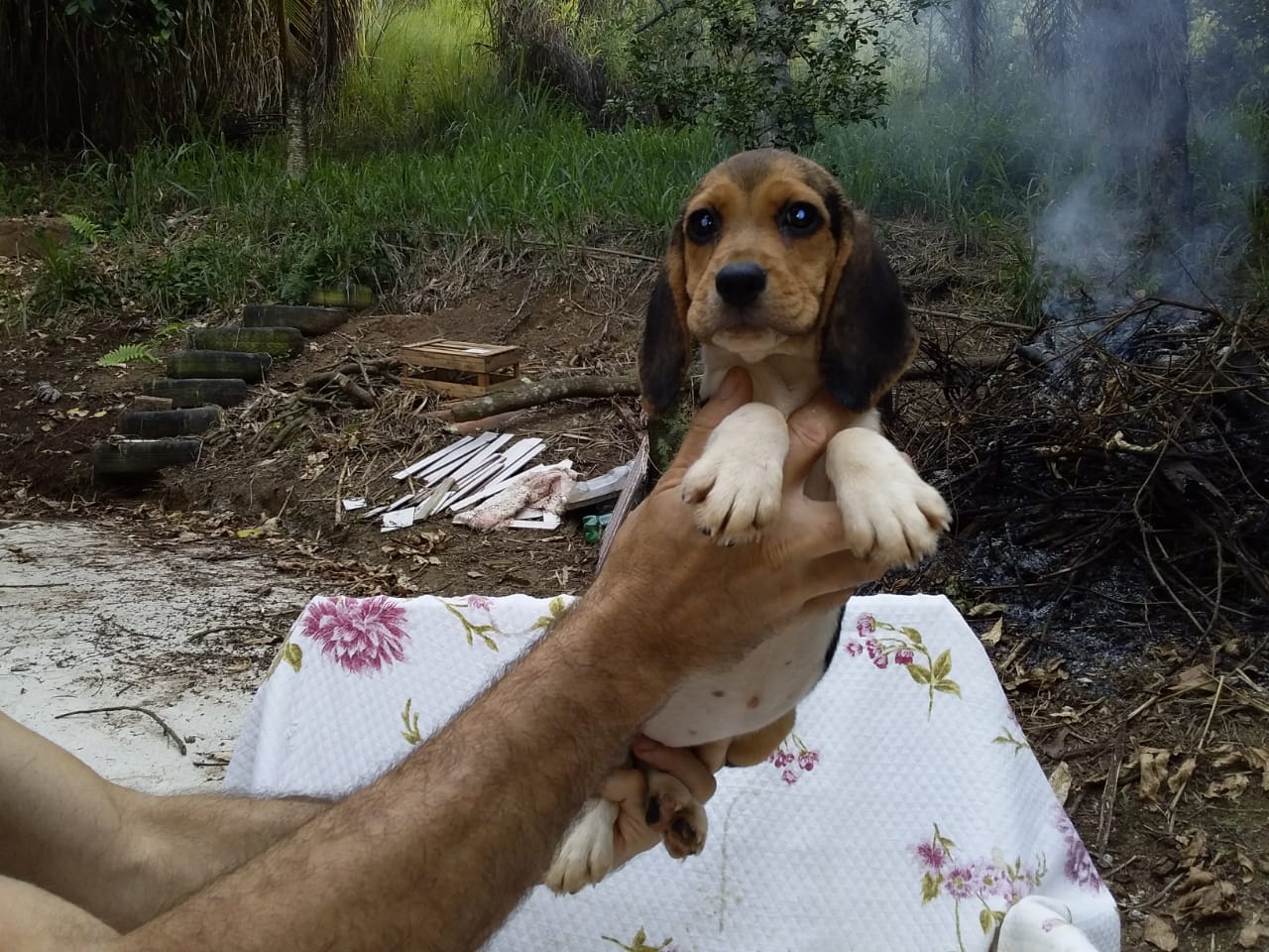 Fêmeas 160120 (6).jpg